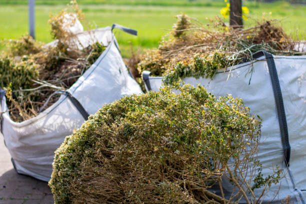 Best Recycling Services for Junk  in Somers Point, NJ